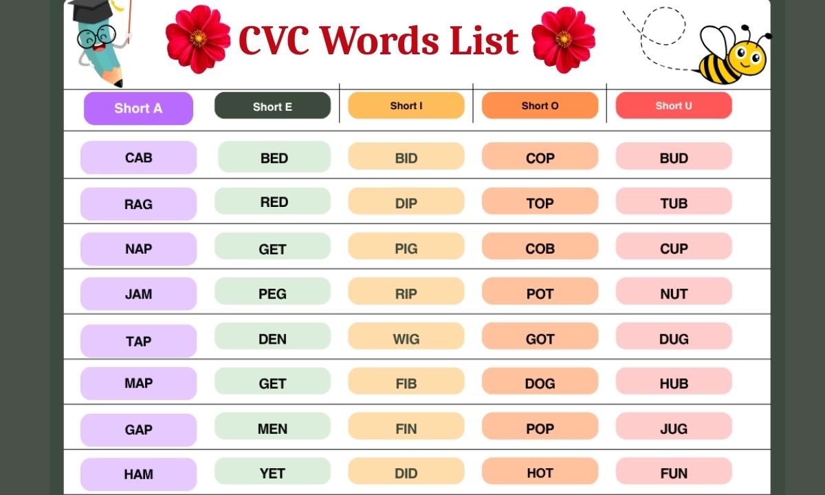 cvc words list